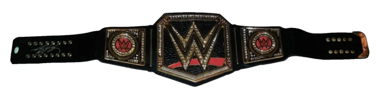 BILL GOLDBERG AUTOGRAPHED FULL SIZED CHAMPIONSHIP BELT (WWE / WCW) - PSA DNA!