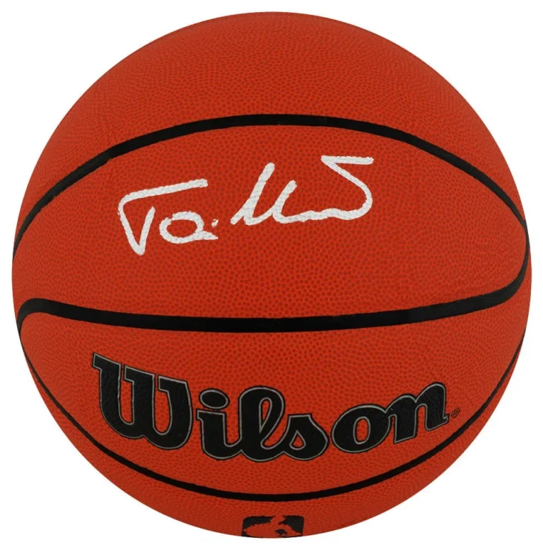 Toni Kukoc Signed Wilson Indoor/Outdoor NBA Basketball - (SCHWARTZ COA)