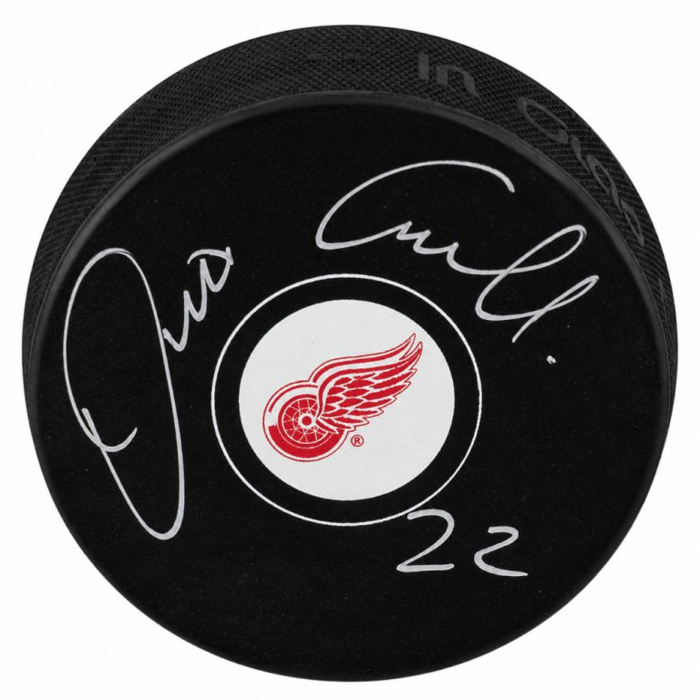 Dino Ciccarelli Signed Detroit Red Wings Logo Hockey Puck - (SCHWARTZ COA)