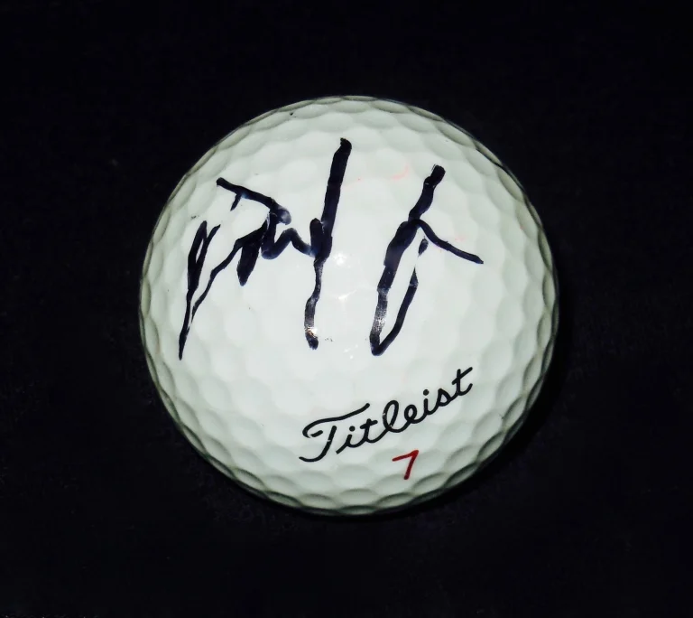 DAVID LYNN AUTOGRAPHED USED GOLF BALL (PGA) W/ COA!