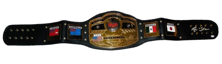 RIC FLAIR AUTOGRAPHED FULL SIZED CHAMPIONSHIP BELT (NWA / WWE / WCW) - PSA DNA!