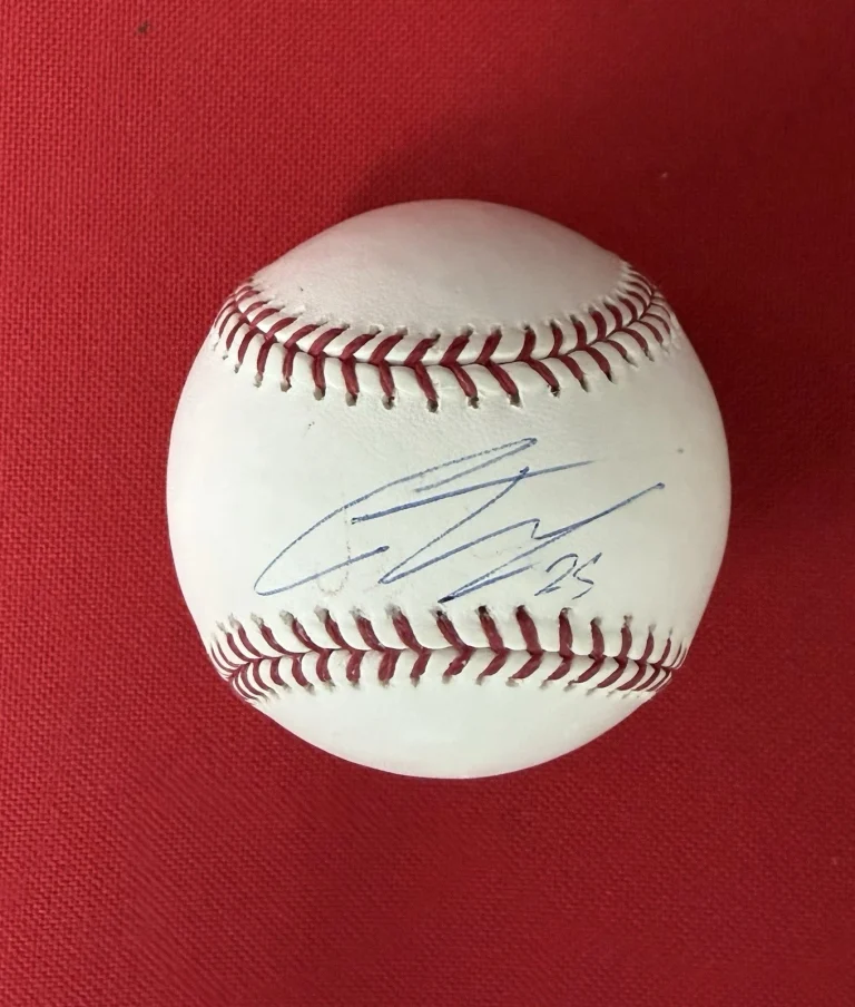 Gleyber Torres Detroit Tigers Autographed Baseball Beckett BAS COA