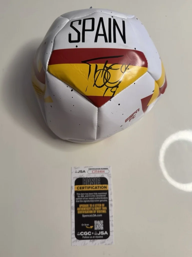 Fernando Llorente Autographed Spain Soccer Ball 2010 World Cup JSA COA