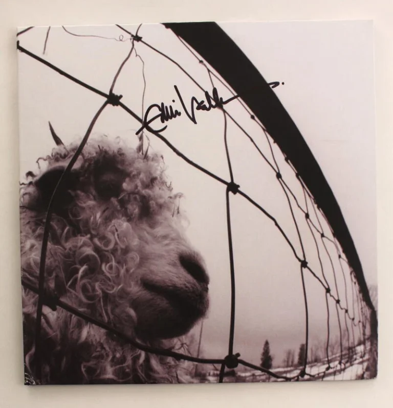 EDDIE VEDDER SIGNED AUTOGRAPH ALBUM VINYL RECORD - PEARL JAM VS VS. RARE JSA COA