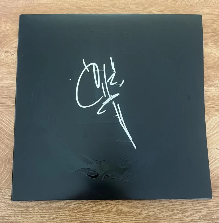 * CHAD GRAY * signed vinyl album * MUDVAYNE * THE END OF ALL THINGS TO COME *