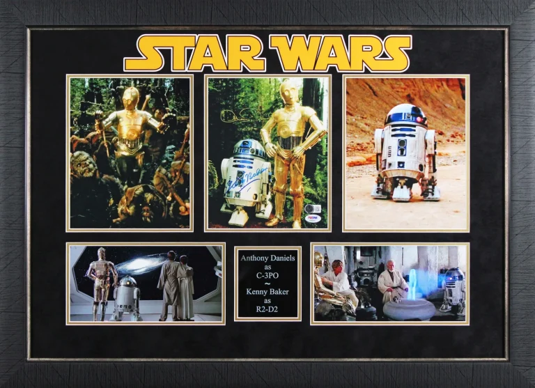 Kenny Baker & Anthony Daniels Star Wars Signed 8x10 Framed Photo BAS #AE64530