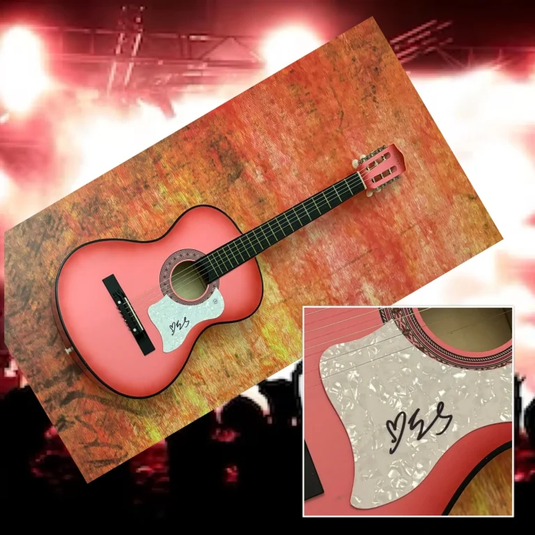 Chitarra Acustica Firmata COA Delle Indigo Girls Band * EMILY SALIERS *