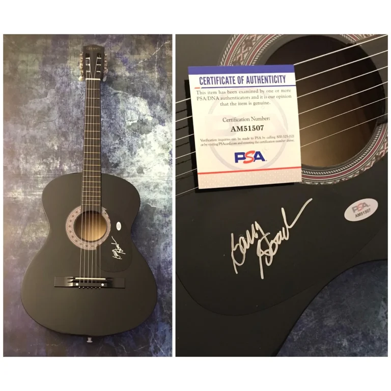 Chitarra Acustica Firmata * BARRY GOUDREAU * Con COA Del Guitarista Dei Boston