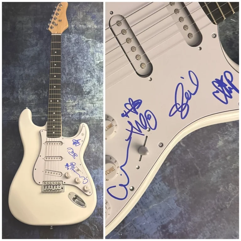 GFA Theo Kogan X4 Band * LUNACHICKS * Chitarra Elettrica Firmata PROVA L6 COA