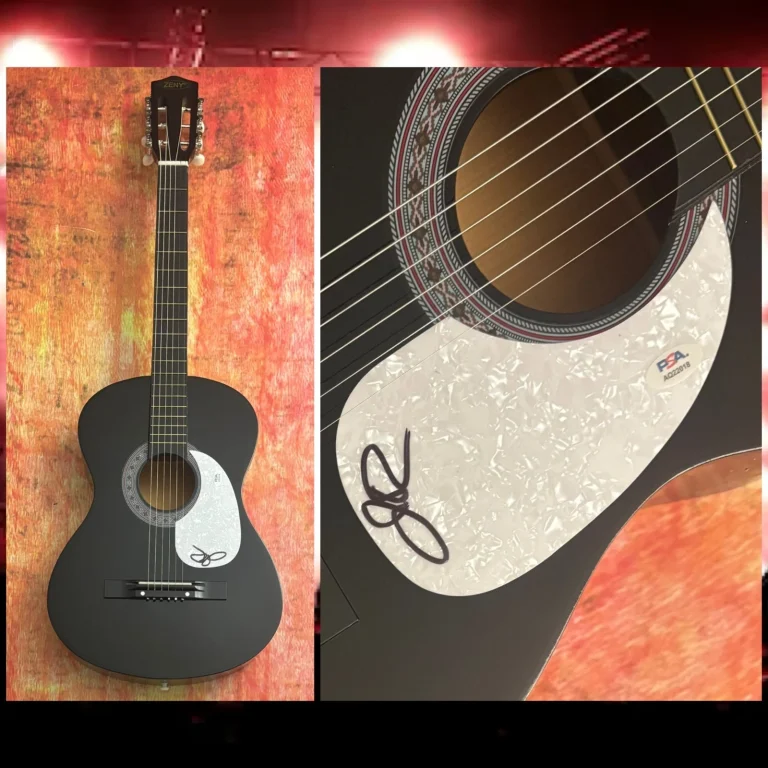 PSA Lynyrd Skynyrd Cantante * JOHNNY VAN ZANT * Chitarra Acustica Firmata COA