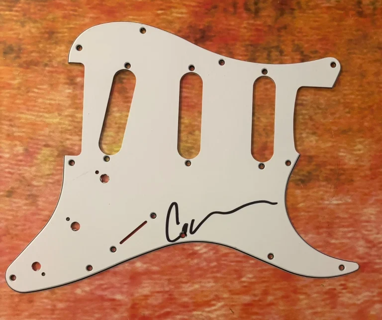 GFA Wilson Phillips * CARNIE WILSON * Signed Electric Pickguard Proof COA