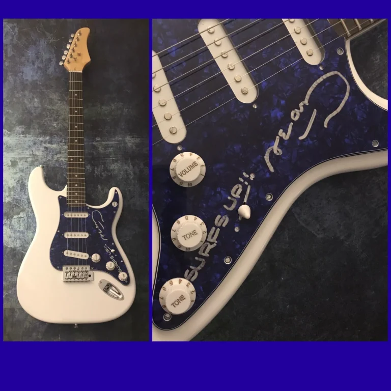 Chitarra Elettrica Firmata Di Dean Torrence Della Band Jan And Dean * D2 COA