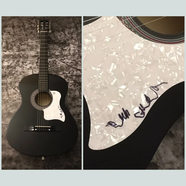 GFA Qualcuno Sta Bussando Star * TERRI GIBBS * Chitarra Acustica Firmata COA