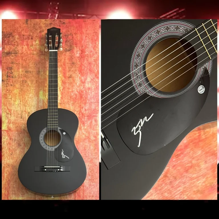 ZACH JOHN KING Chitarra Acustica Firmata Slow Down Lose You PROOF COA