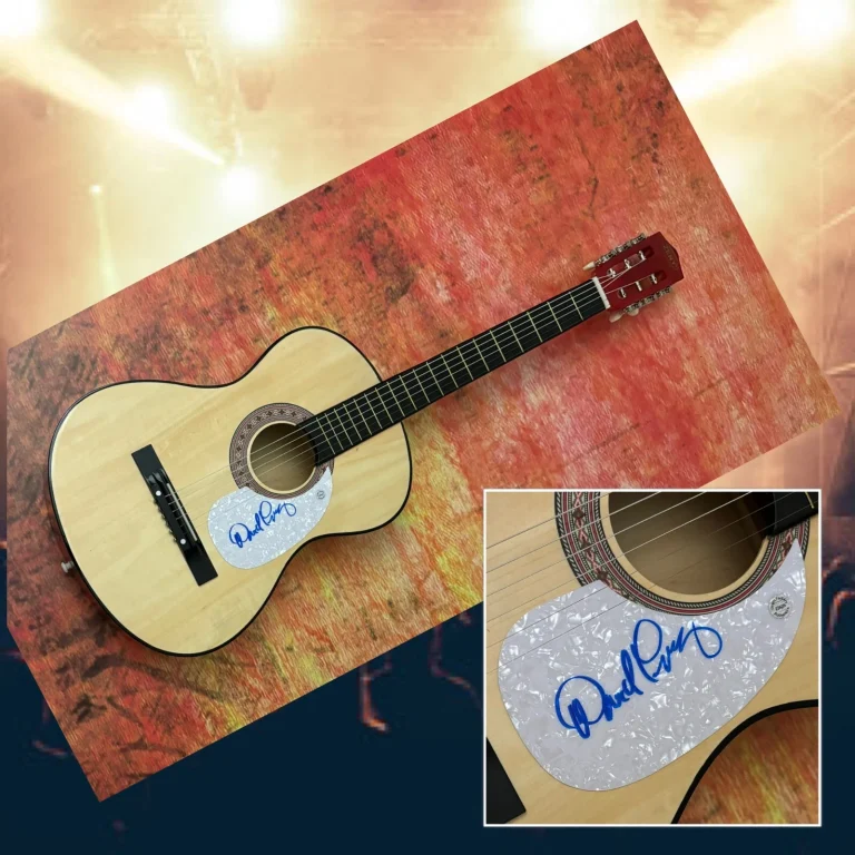 Chitarra Acustica Firmata GFA Jefferson Airplane * DAVID FREIBERG * PROVA COA