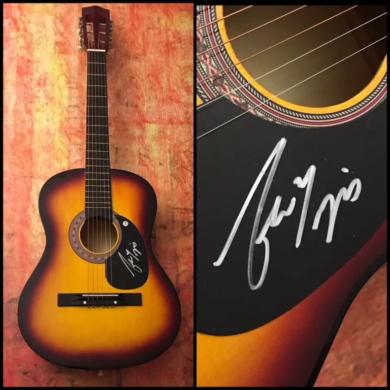 GFA Evergreen Jericho * ANDREW RIPP * Chitarra Acustica Firmata PROVA A5 COA