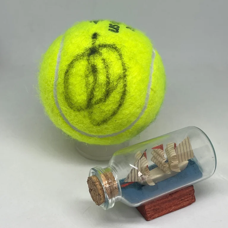 Novak Djokovic signed Wilson Tennis Ball JSA COA Rare Bold Auto 3463