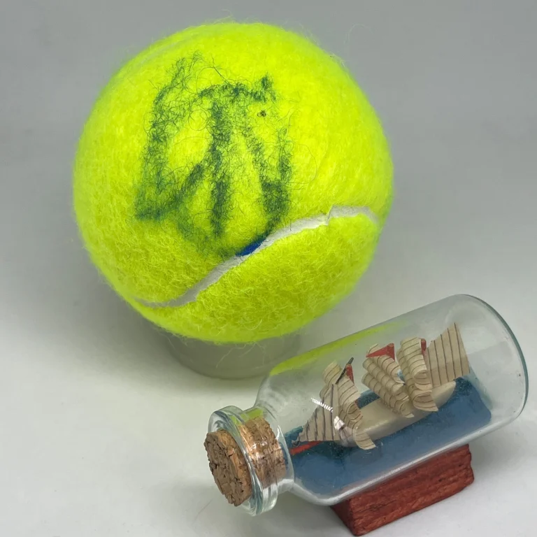 Novak Djokovic signed Wilson Tennis Ball JSA COA Rare Bold Auto 3464