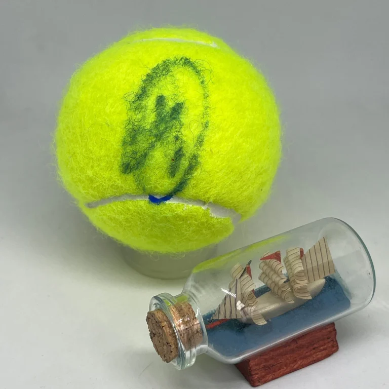 Novak Djokovic signed Wilson Tennis Ball JSA COA Rare Bold Auto 3466