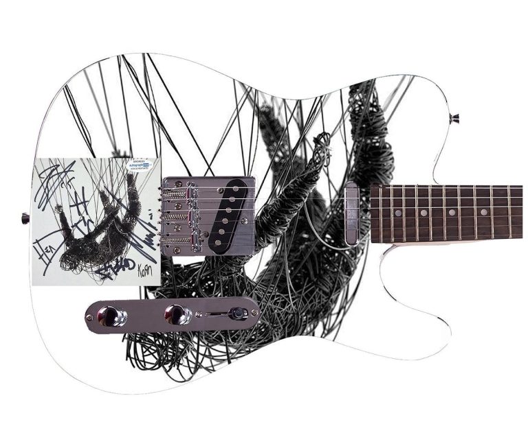 Korn Signed Autographed The Nothing Album CD Custom Graphics Photo Guitar ACOA
