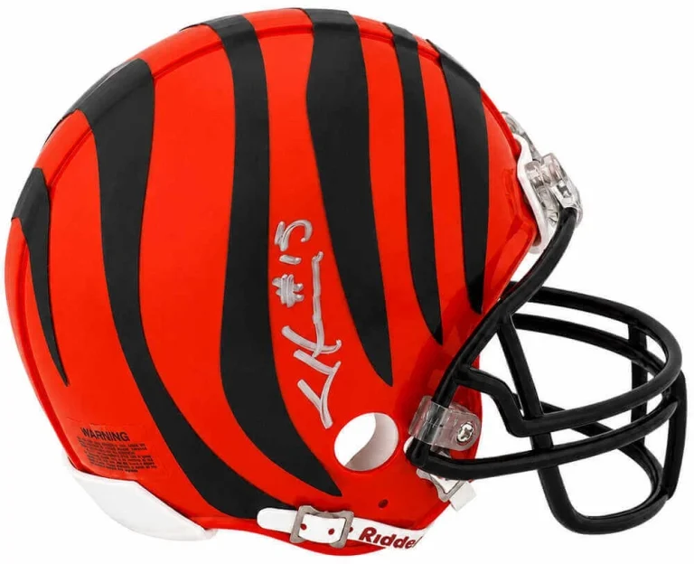 Chris Henry Signed Bengals Riddell (VSR4) Mini Helmet - (In Silver) - (SS COA)