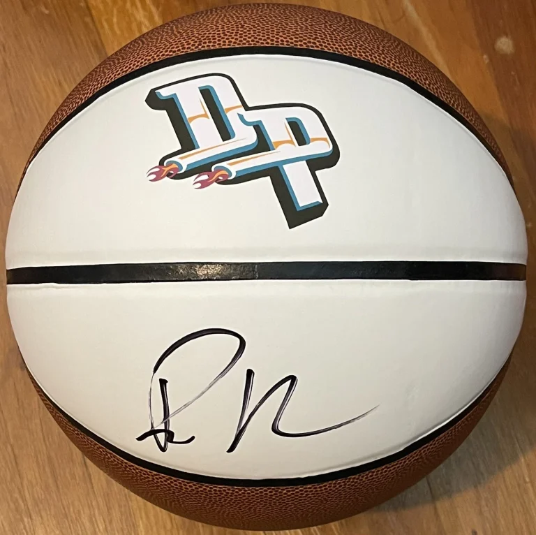 Richard Hamilton Signed Autographed Detroit Pistons Logo Basketball JSA COA
