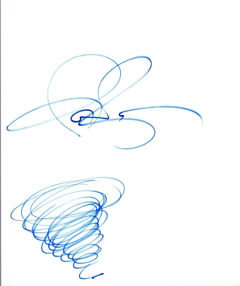 Ian Ziering Signed Autographed Hand Drawn Sketch SHARKNADO COA VD