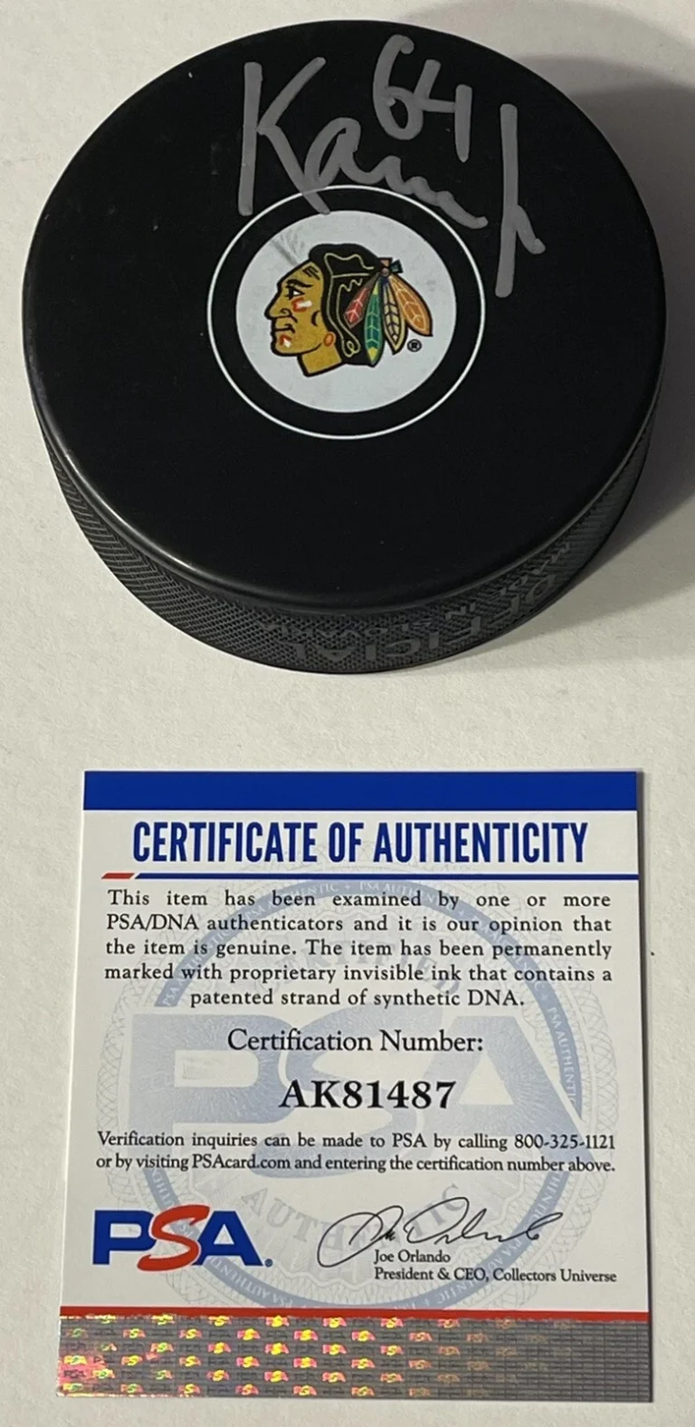 David Kampf Signed Autographed Chicago Blackhawks Logo Puck Stanley Cup PSA/DNA