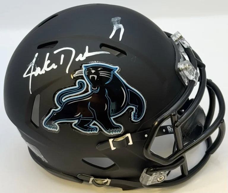 Jake Delhomme Signed Autographed Carolina Panthers Mini Helmet PSA/DNA COA