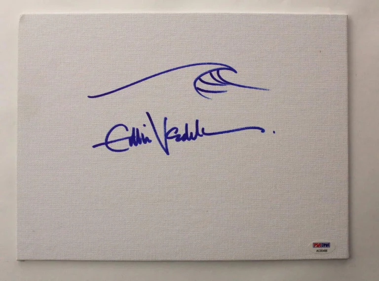 EDDIE VEDDER SIGNED AUTOGRAPH 9x12 CANVAS WITH ORIGINAL ART SKETCH! VS. TEN PSA