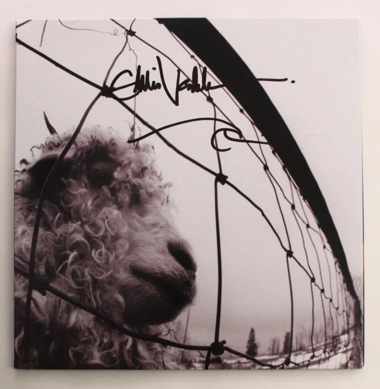 EDDIE VEDDER SIGNED AUTOGRAPH ALBUM VINYL RECORD W/ WAVE SKETCH PEARL JAM VS JSA
