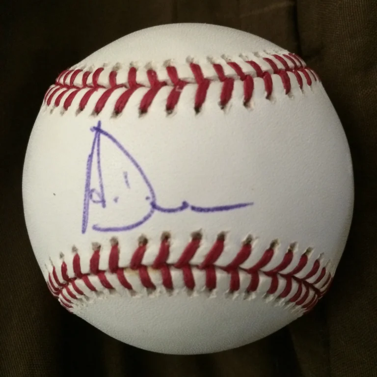 Adam Dunn Signed Authentic Baseball Autographed ROMLB