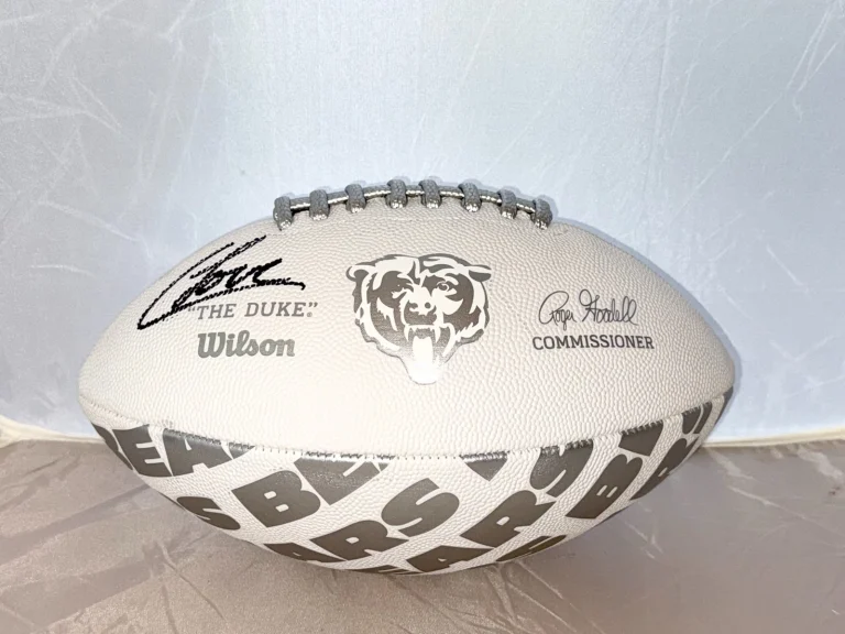 Colston Loveland signed Chicago Bears Logo Football autographed JSA Witnessed