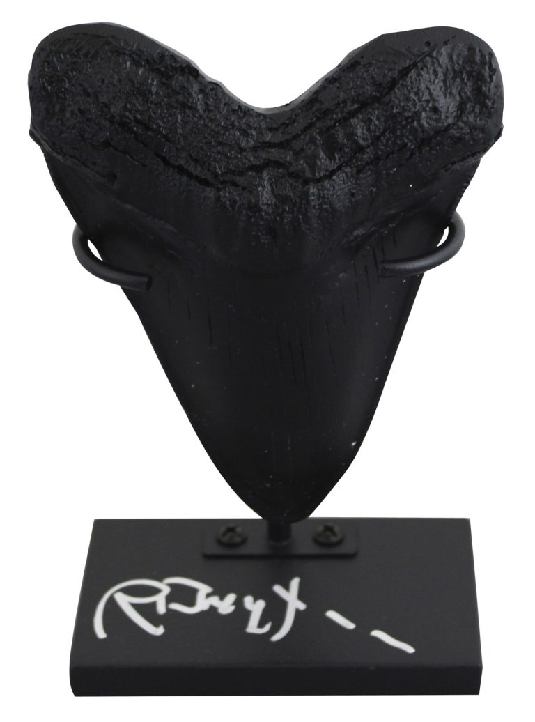Richard Dreyfuss Jaws Authentic Signed Replica Megalodon Tooth Display BAS