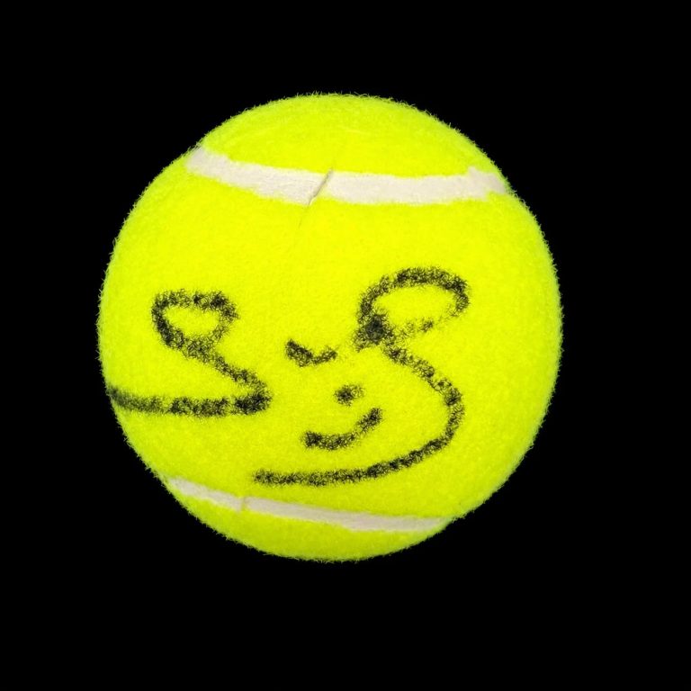 Yannick Noah Signed Tennis Ball PSA Autographed