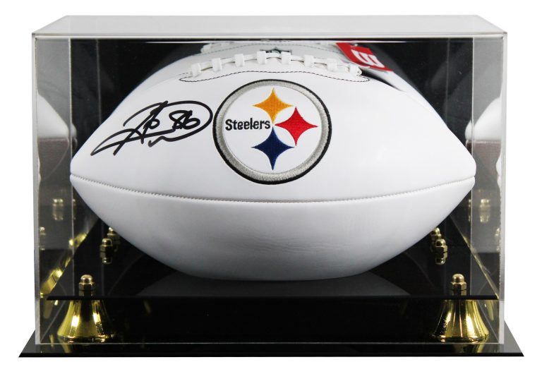 Steelers Hines Ward Signed Wilson White Panel Logo Nfl Football w/ Case BAS Wit
