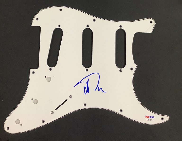 Trey Anastasio Signed Guitar Pickguard Phish TAB Frontman Rock Autograph PSA/DNA