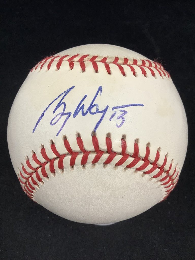 Billy Wagner Signed Baseball OMLB Houston Astro NY Mets HOF Autograph PSA/DNA