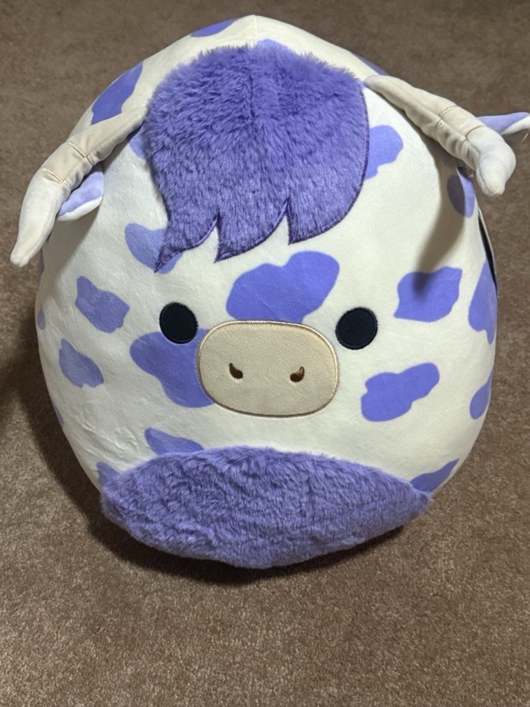 Squishmallows 16