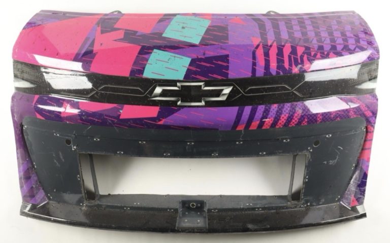 Alex Bowman 2024 #48 Ally NASCAR Nose Piece - Hendrick Motorsports