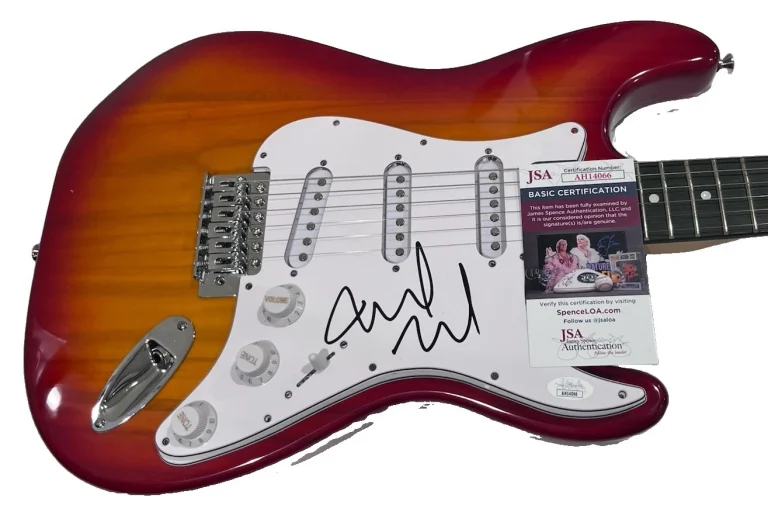 Mike McCready Pearl Jam Signed Autographed Guitar JSA Certified