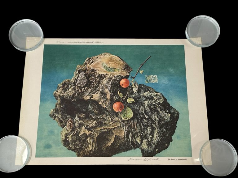 Aaron Bohrod Still life Painter Artist The Grotto Signed Autograph Book Print