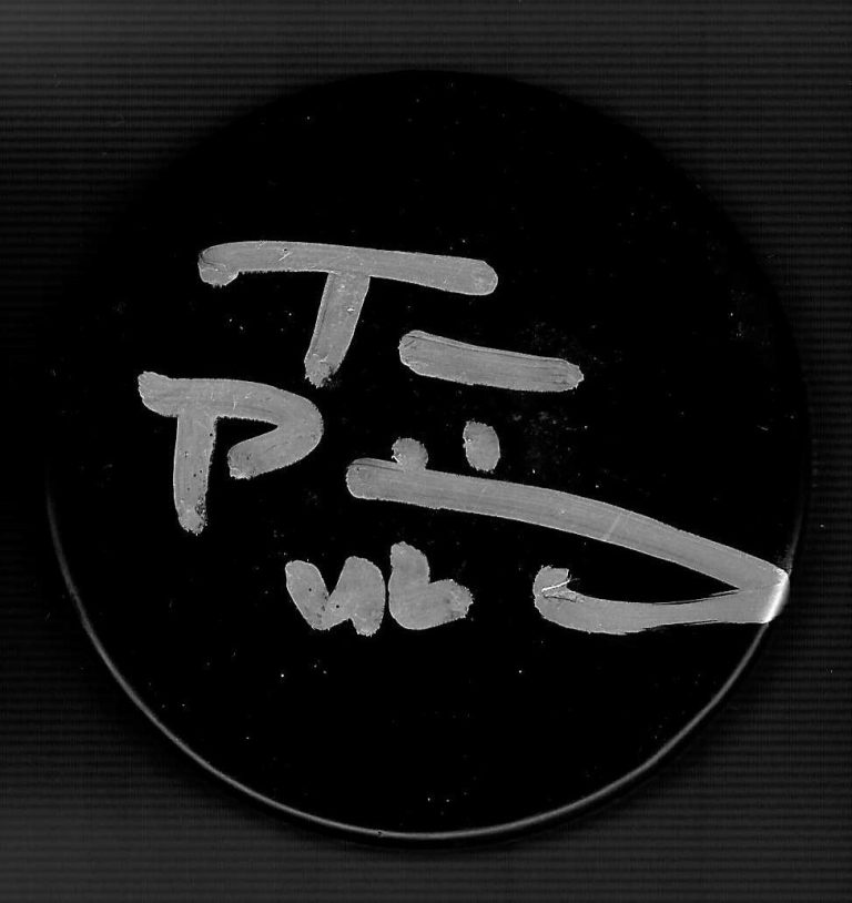 Tom Preissing Signed Blank Puck Sharks Senators Kings Avalanche