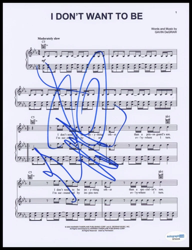 Gavin DeGraw 