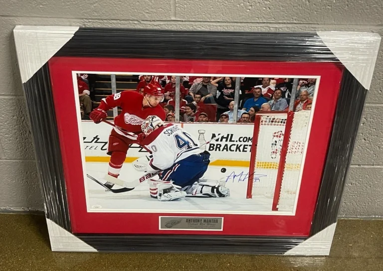 Anthony Mantha Signed Framed Detroit Red Wings 1st NHL Goal 16x20 Photo JSA COA